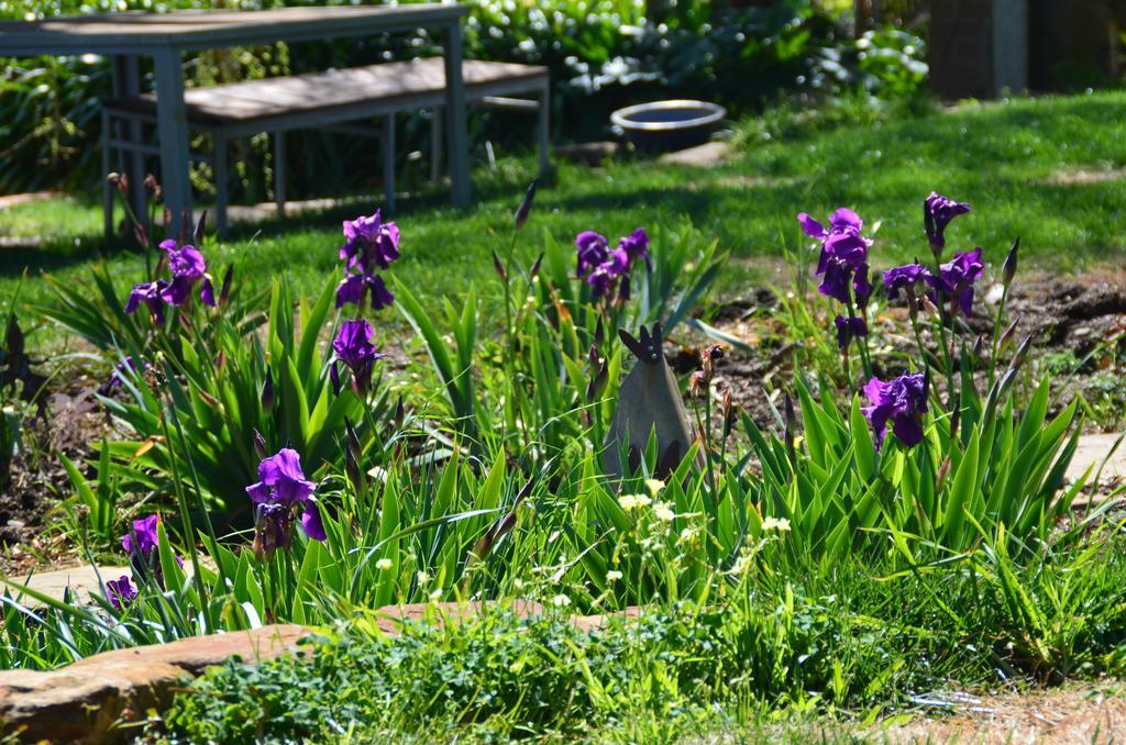 Dairyman'S Cottage Lyndoch Kültér fotó